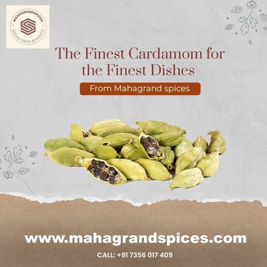 Buy Green Cardamom Online