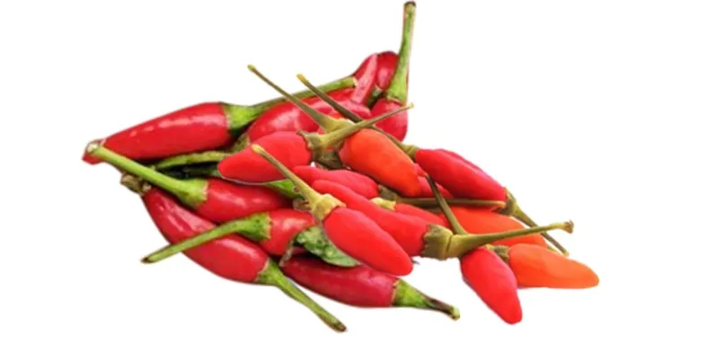 Bird's eye chilli - Red