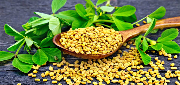 Buy Fenugreek (Methi) online