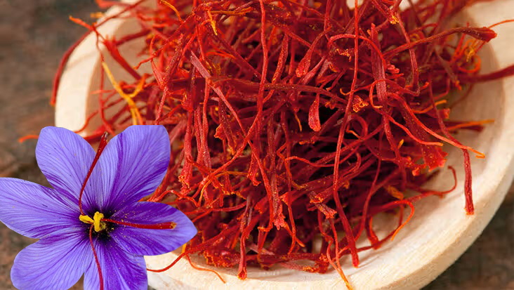 saffron-kashmiri-kesar-buy-online2