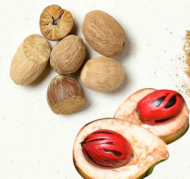 Buy Nutmeg buy nutmace online