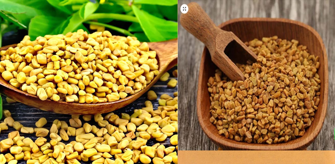 buy-fenu-greek-methi-kerala-spices