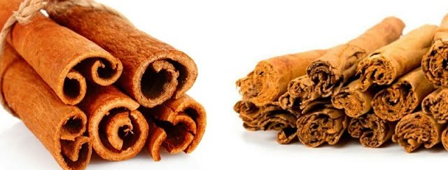 True cyclone cinnamon ; buy Kerala spices online