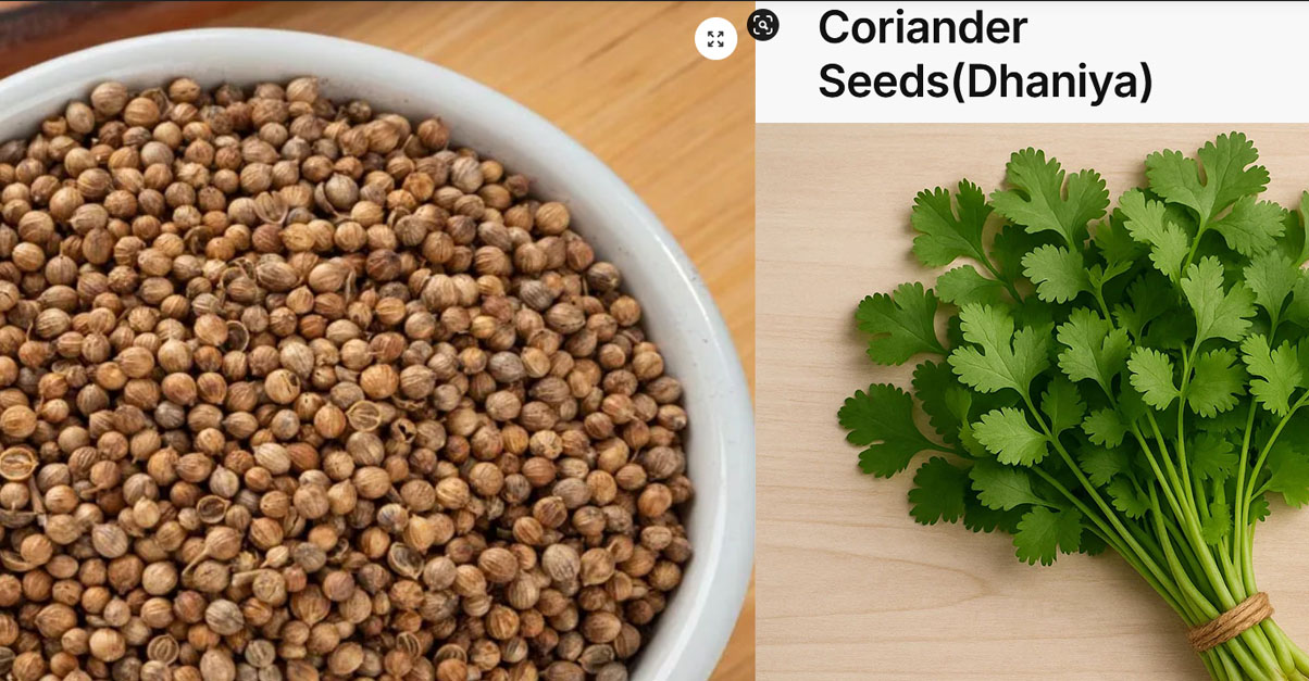 medicianla-properties-of-coriander-buycoriander-online