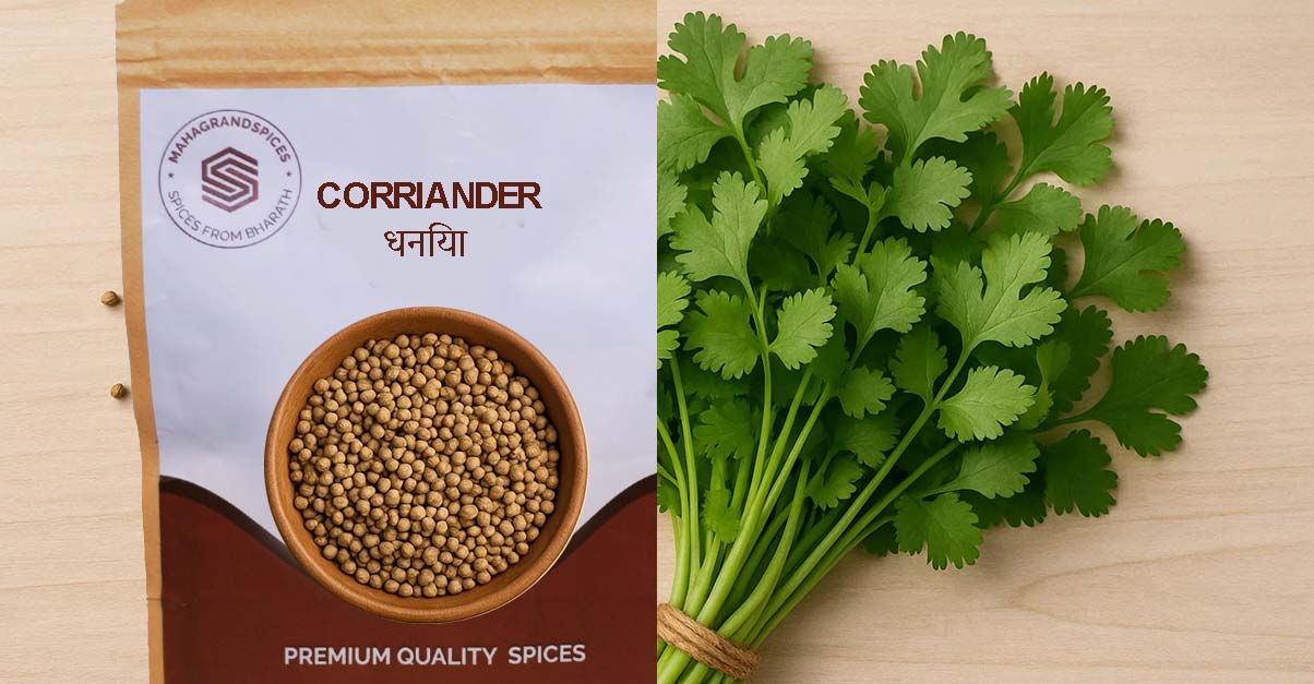 buy-premium-coriander-online