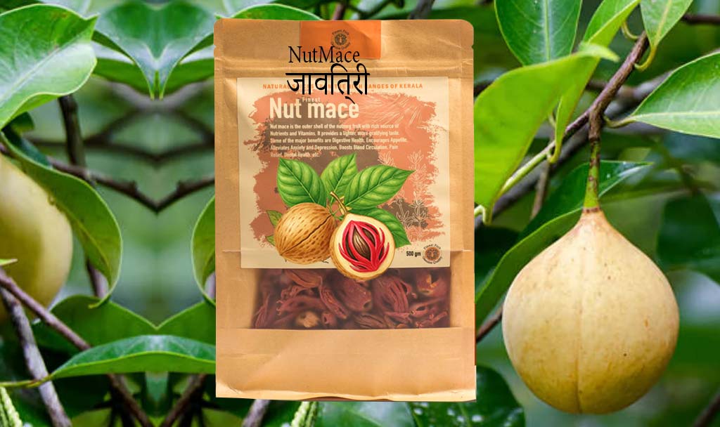 Nutmeg-Nutmace-Javithri-Jaiphal-premium-quality-Kerala-spices