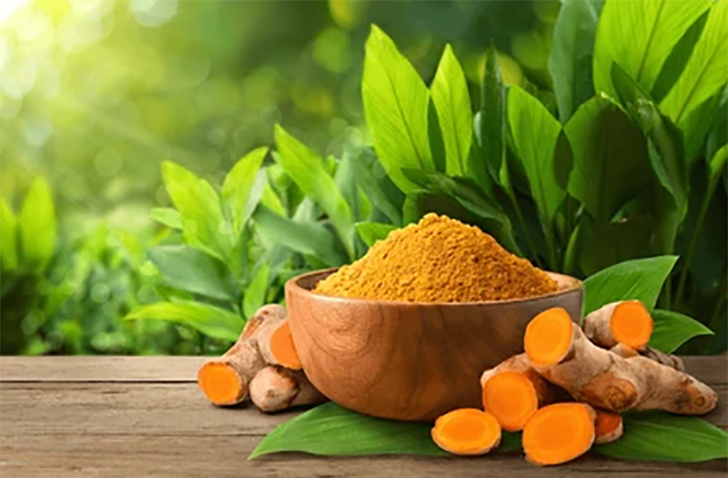 buy dry turmeric online ; buy premium spice ; kerala spices online