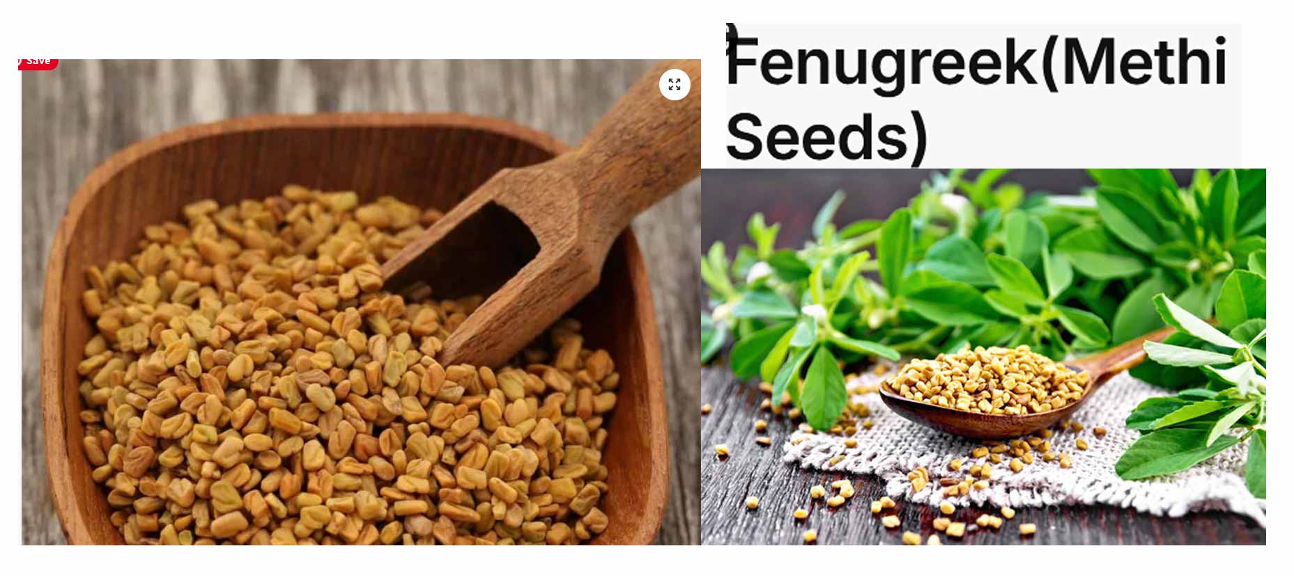 fenu-greek-methi-seeds-buy-online-mahagrandspices