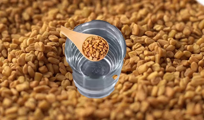 fenugreek-methi-seeds-buy-online-mahagrandspice