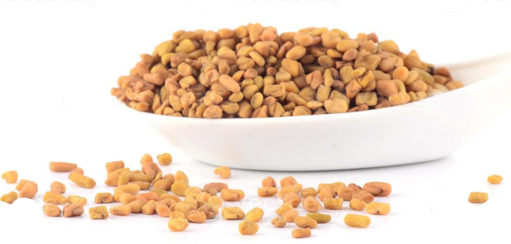 Buy fenugree- methi seeds- online for cooking and beauty