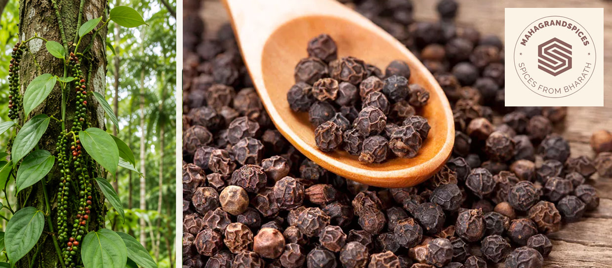 Farm Fresh Black Pepper from Idukki