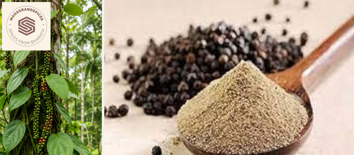premium quality Kerala blackpper